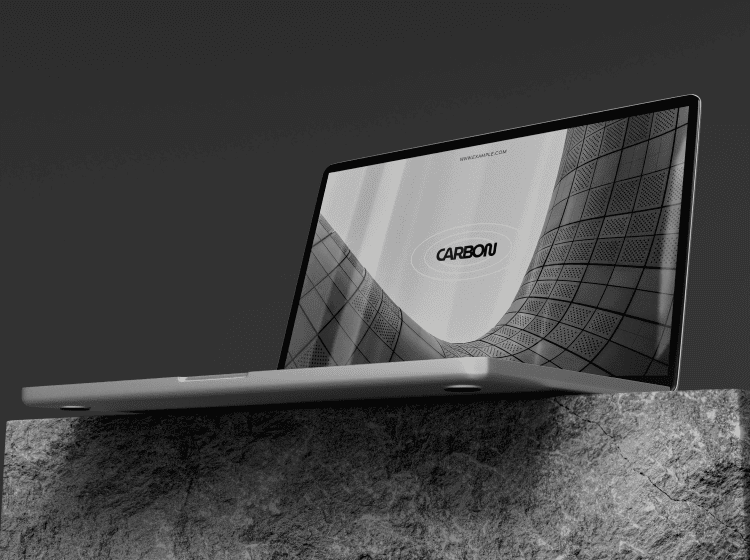portfolio img 1.png